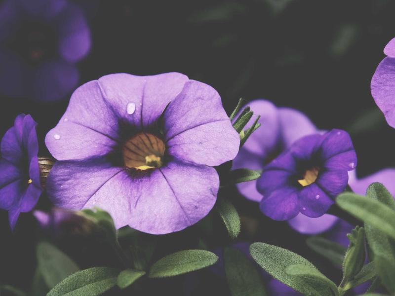 feedback screenshot 1