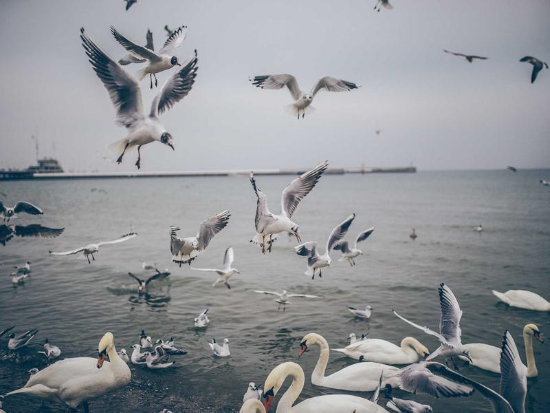 feedback screenshot 2